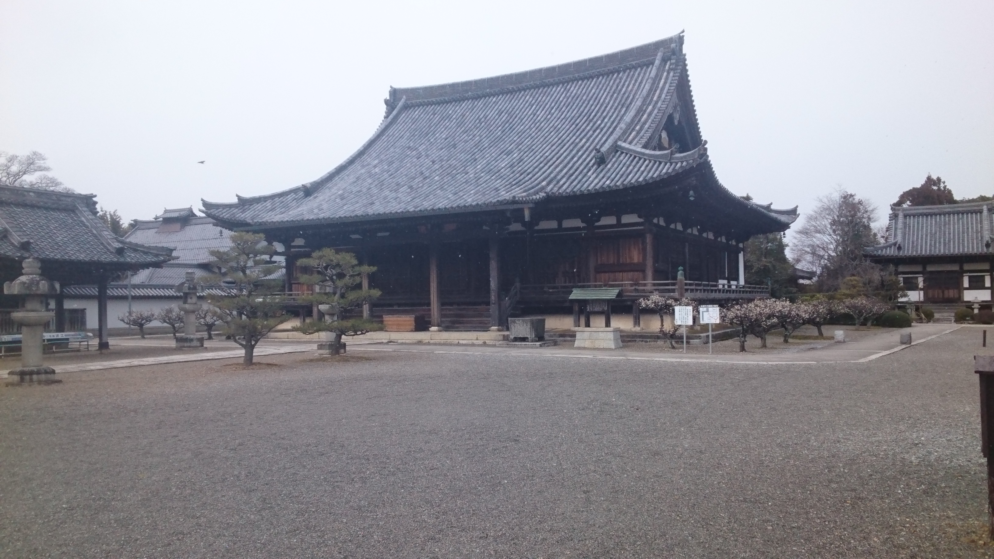 「お彼岸ですよ～！　近江八幡市安土町　浄厳院でお墓建て！！　基礎工事編！」