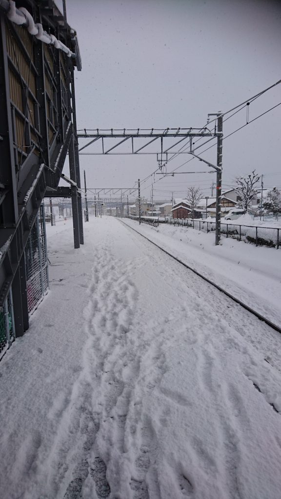 「大雪の中の伏見稲荷へ初午参り！！」