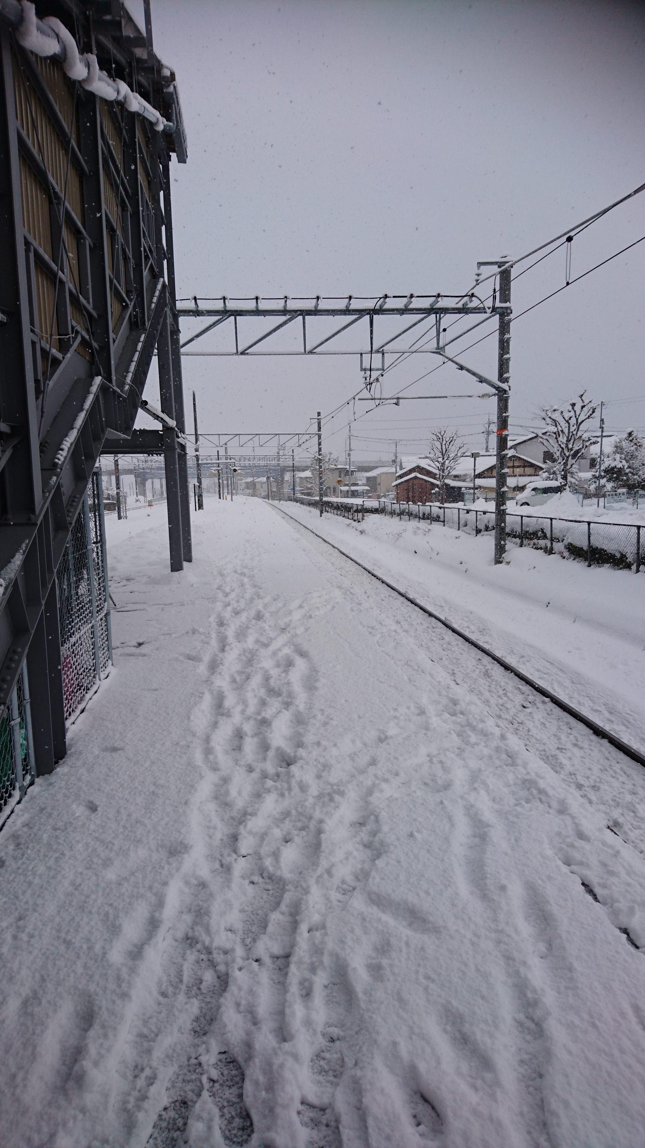 「大雪の中の伏見稲荷へ初午参り！！」
