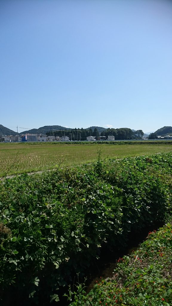 「デザイン墓？洋墓？なんでもしまっせ～！！浄厳院東霊園！！　完成編！！　」