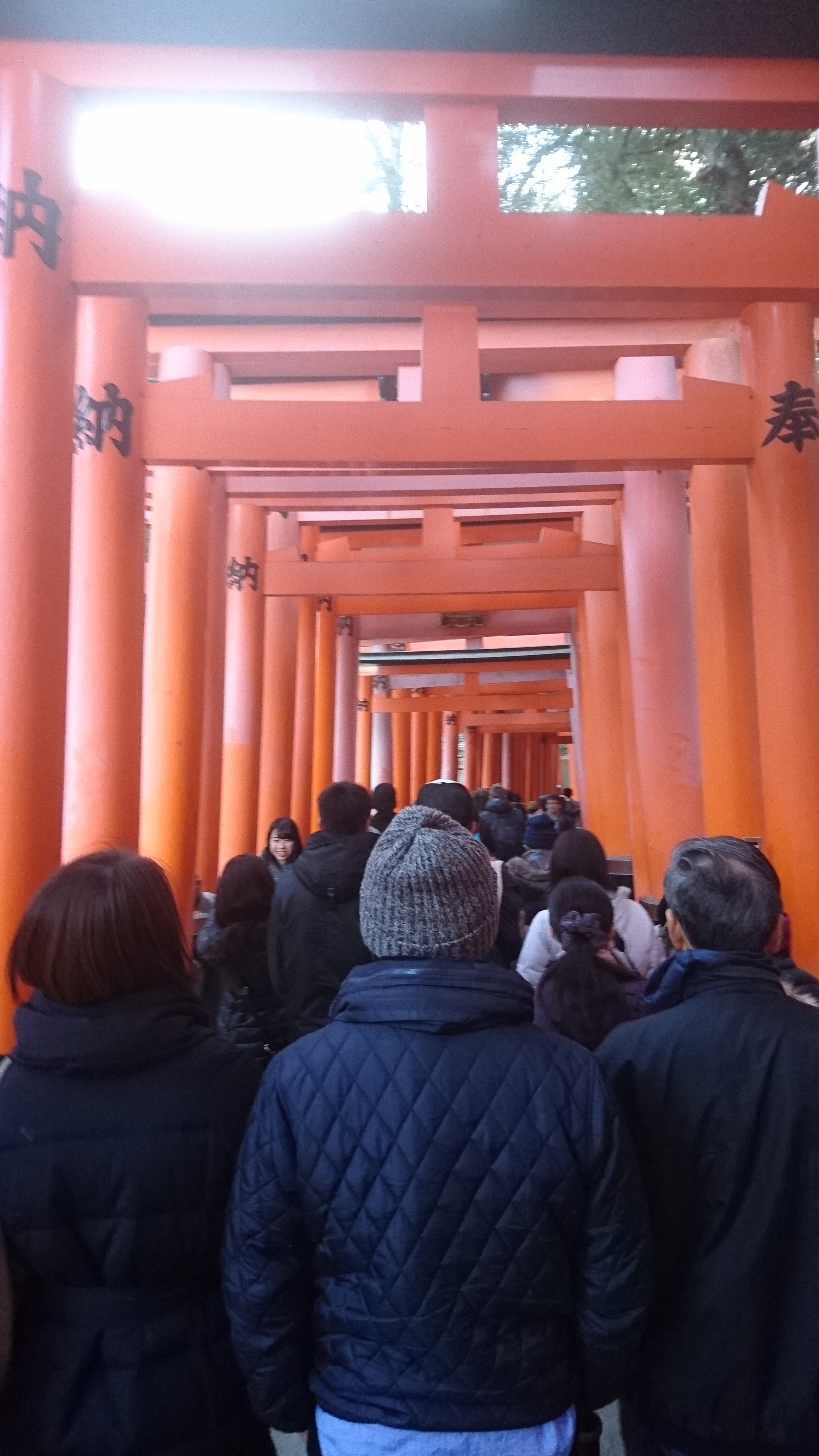 「第二段はやはりここから！伏見稲荷！」