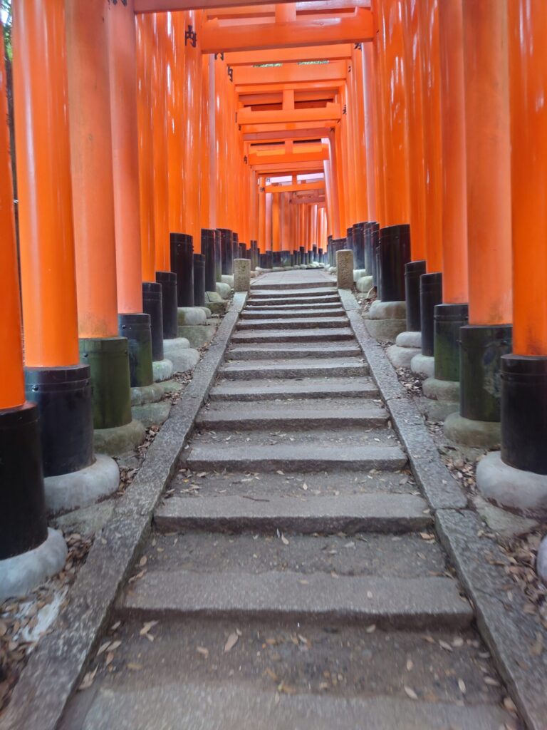 「伏見稲荷大社に行ってきた！」