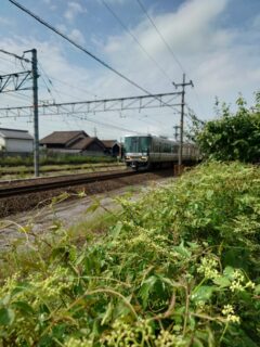 「石産協のお墓未来プロジェクトに行って来ました！」