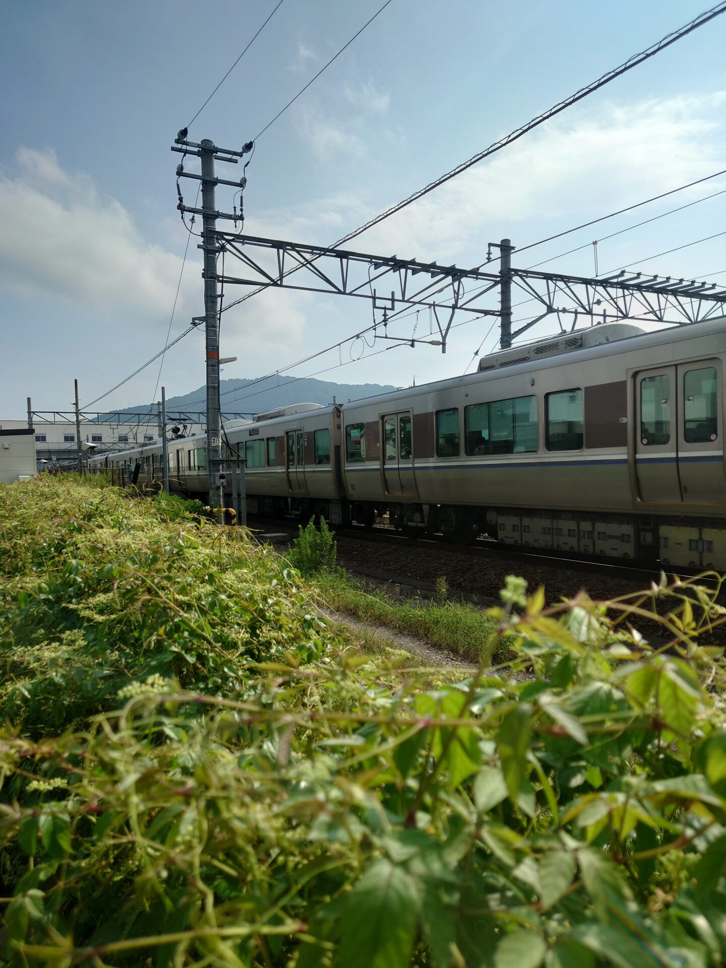 「電車が1時間30分も止まってしまった時の事！」