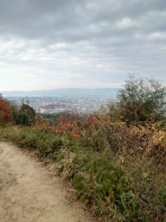 「伏見稲荷大社に、月参り！」