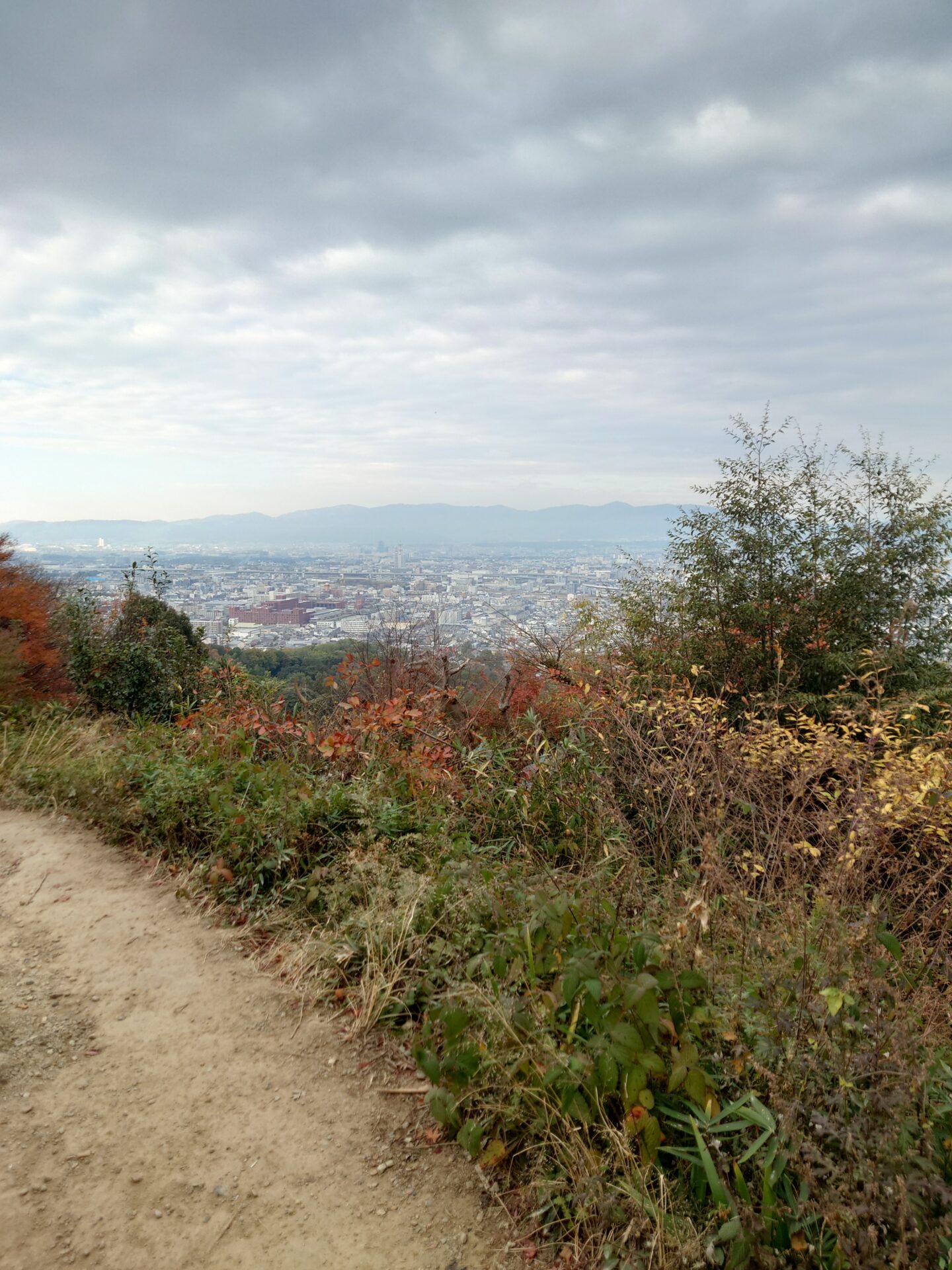 「伏見稲荷大社に、月参り！」