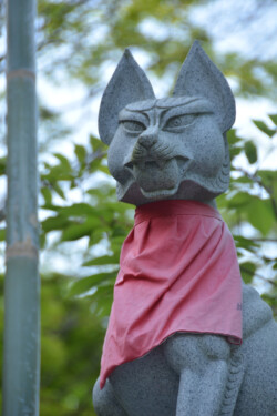 狐 京都市伏見区深草 伏見稲荷大社(大日本大道教)