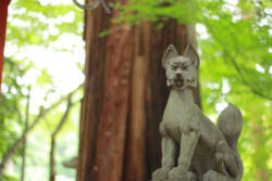 狐6 近江八幡市安土町東老蘇 奥石神社