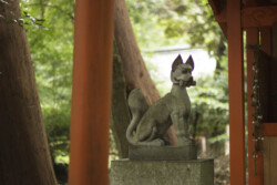 狐1 近江八幡市安土町東老蘇 奥石神社