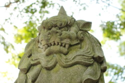 狛犬 近江八幡市安土町常楽寺 沙沙貴神社 表参道