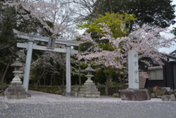 鳥居1 近江八幡市安土町小中 若宮八幡神社